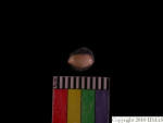 L_V22d6725 J3q338.2 T922 dM sh f259